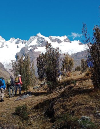 Cedros Alpamayo Trek