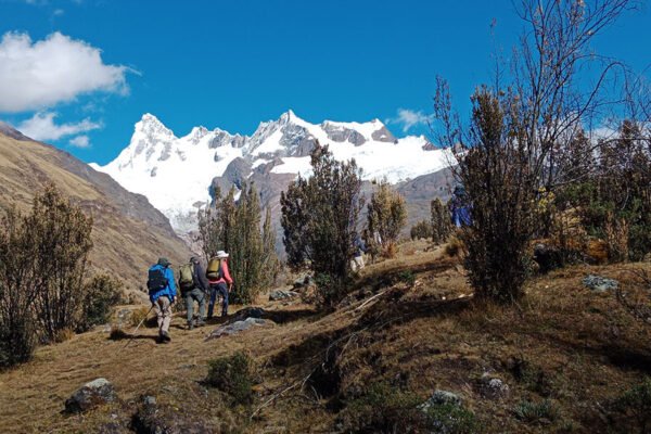 Cedros Alpamayo Trek