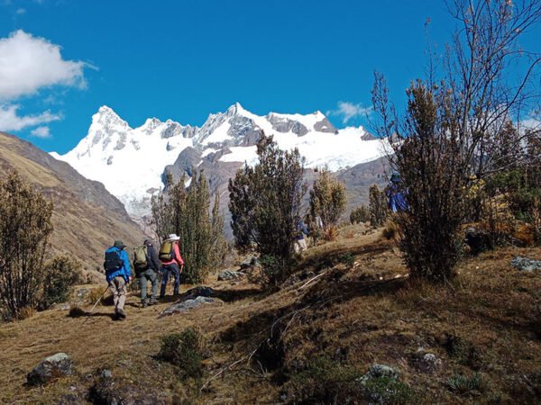 Cedros Alpamayo Trek