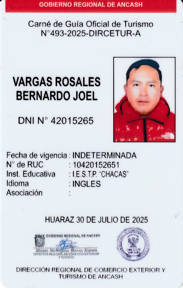joel vargas carnet guia oficial turismo